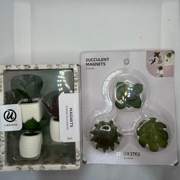 Succulent Plant Magnets 6 Count Potted Faux Plant Locker Fridge Plastic Novelty - Picture 4 of 9